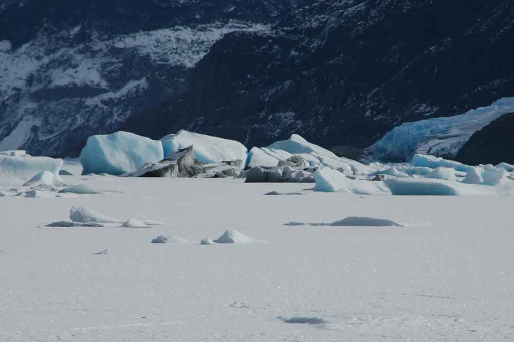 Argentina 058 - parque nacional de los glaciares - lago Onelli.jpg